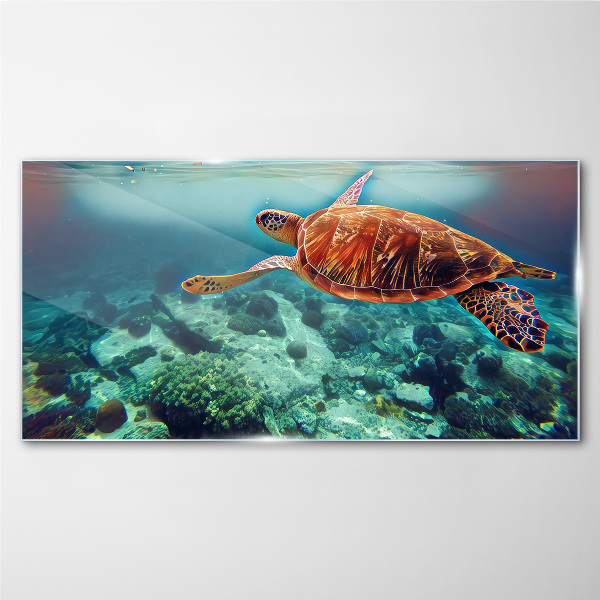 Turtle in Tranquil Waters Wall art on glass