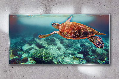 Turtle in Tranquil Waters Wall art on glass