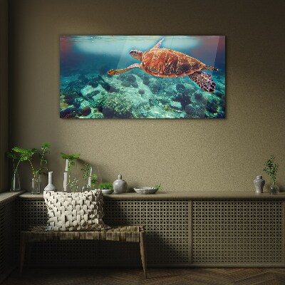 Turtle in Tranquil Waters Wall art on glass