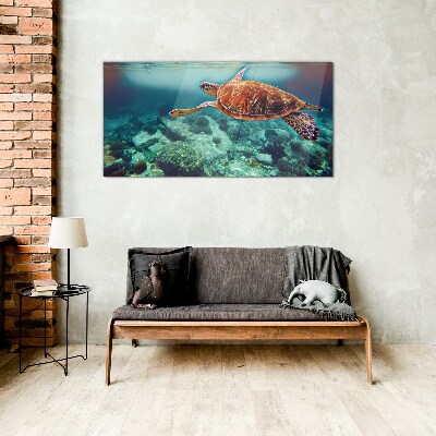 Turtle in Tranquil Waters Wall art on glass
