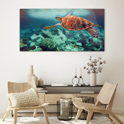 Turtle in Tranquil Waters Wall art on glass