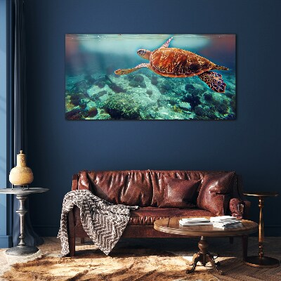 Turtle in Tranquil Waters Wall art on glass