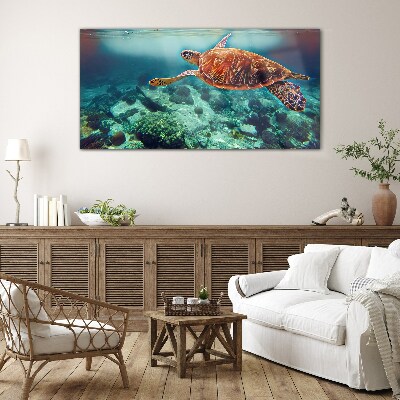 Turtle in Tranquil Waters Wall art on glass