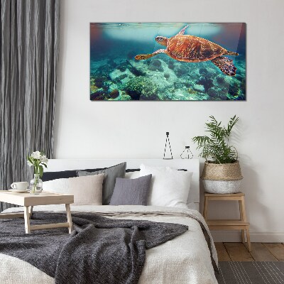 Sea ​​turtle water Glass Wall Art