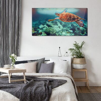 Turtle in Tranquil Waters Wall art on glass