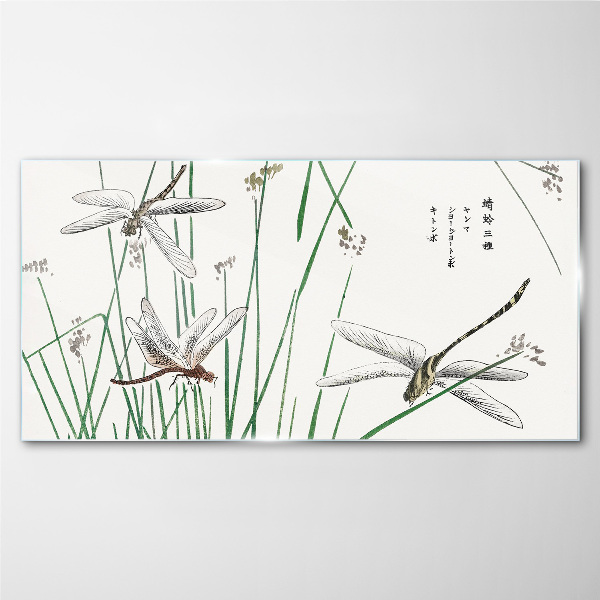 Slender dragonflies in green surroundings Wall art on glass