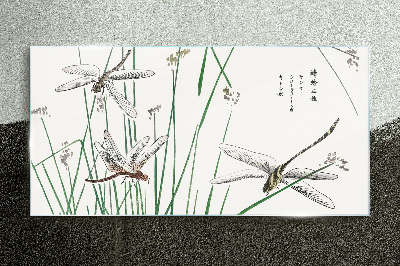 Slender dragonflies in green surroundings Wall art on glass