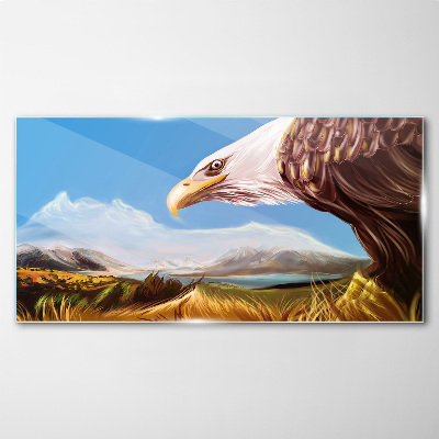 Animal bird eagle heaven Glass Print