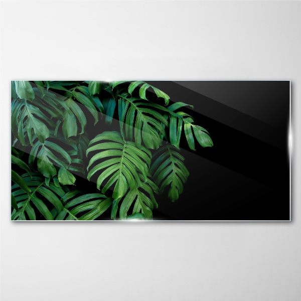 Green leaves on a black background Glass art print