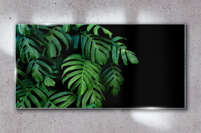 Green leaves on a black background Glass art print