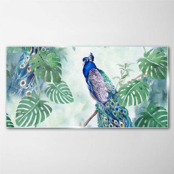Peacock in the tropical jungle Wall art on glass