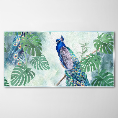 Peacock in the tropical jungle Wall art on glass