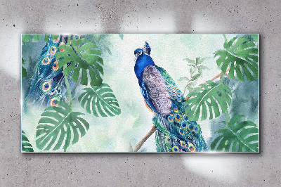 Peacock in the tropical jungle Wall art on glass