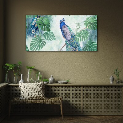 Peacock in the tropical jungle Wall art on glass