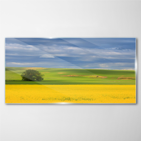 Yellow fields under blue sky Glass art print