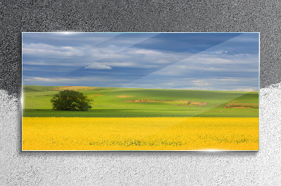 Yellow fields under blue sky Glass art print