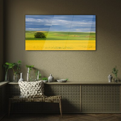Yellow fields under blue sky Glass art print