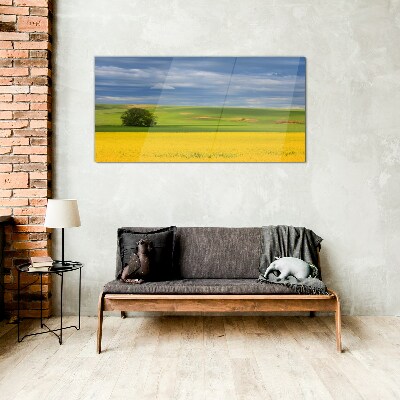 Yellow fields under blue sky Glass art print