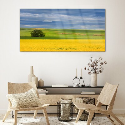 Yellow fields under blue sky Glass art print