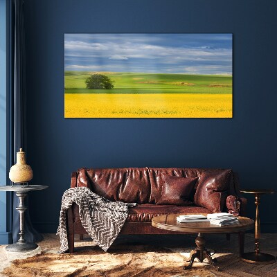 Yellow fields under blue sky Glass art print