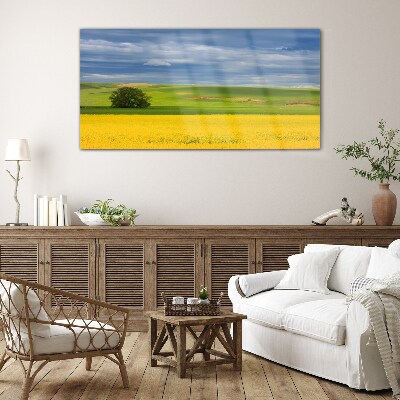 Yellow fields under blue sky Glass art print