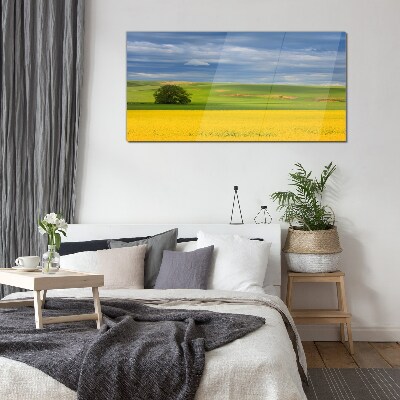 Yellow fields under blue sky Glass art print