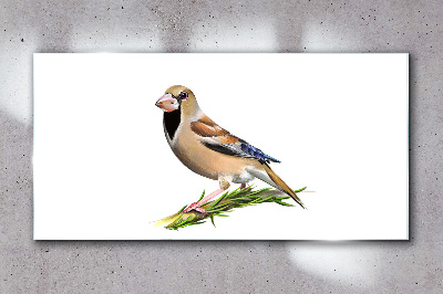 A bird on a branch Wall art on glass