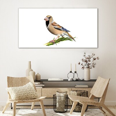A bird on a branch Wall art on glass