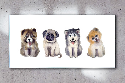 Four adorable puppies Glass art print