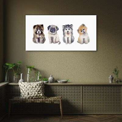 Four adorable puppies Glass art print