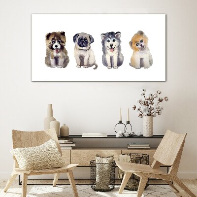 Four adorable puppies Glass art print