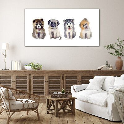Four adorable puppies Glass art print