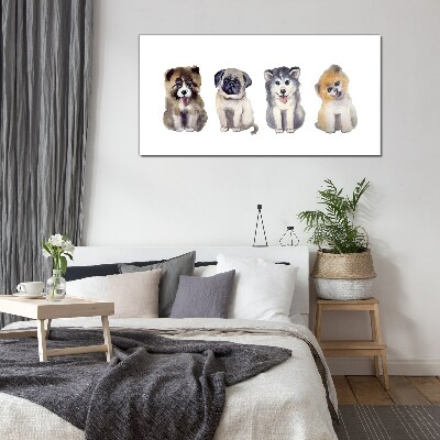Four adorable puppies Glass art print