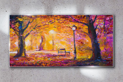 Forest park bench tree light Glass Wall Art