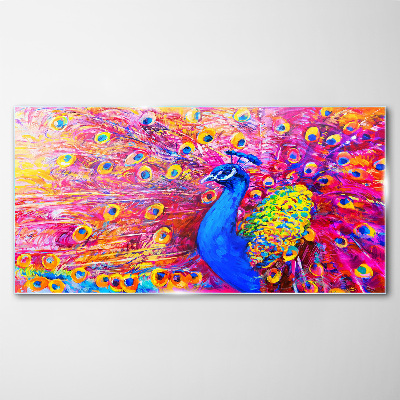 Colorful peacock in spring glow Wall art on glass