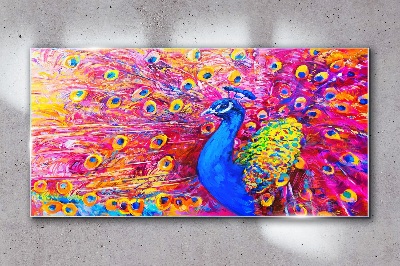 Colorful peacock in spring glow Wall art on glass