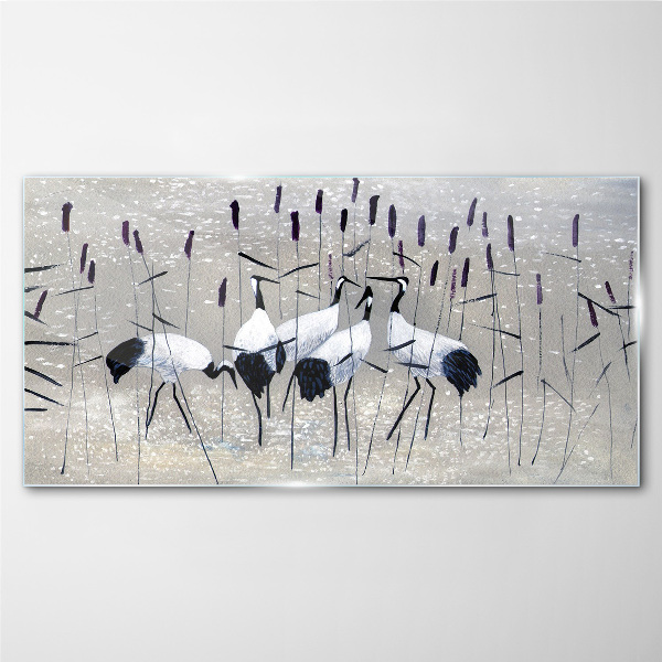White cranes in the reeds Glass art print
