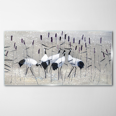 White cranes in the reeds Glass art print