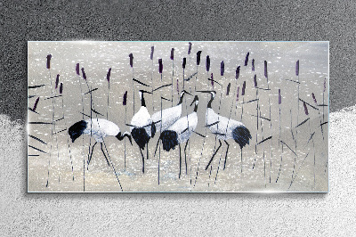 Animals birds reed Glass Wall Art