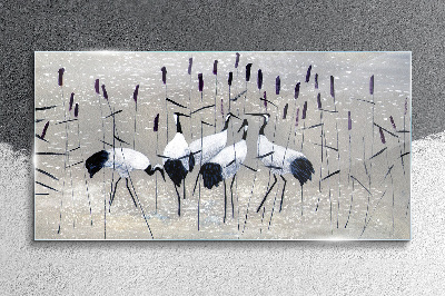 White cranes in the reeds Glass art print