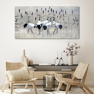 White cranes in the reeds Glass art print