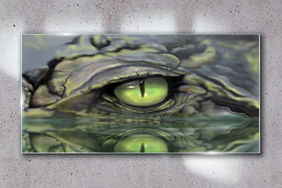 Frog's eye in water reflection Glass art print