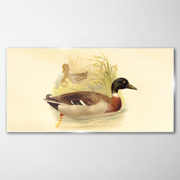 Ducks in the grass Wall art on glass