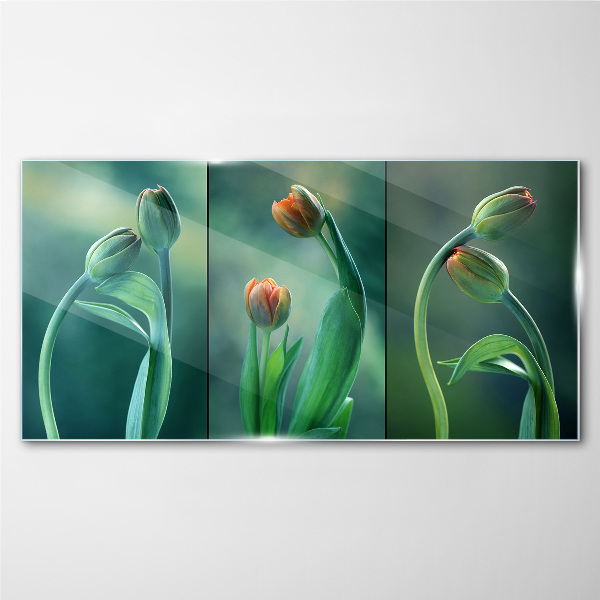Tulips in shades of green Glass art print