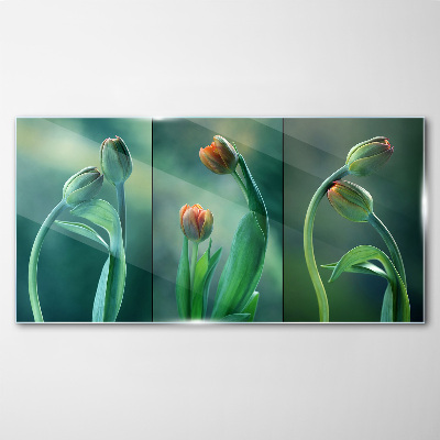 Tulips in shades of green Glass art print