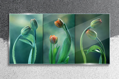 Tulips in shades of green Glass art print