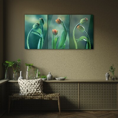 Tulips in shades of green Glass art print