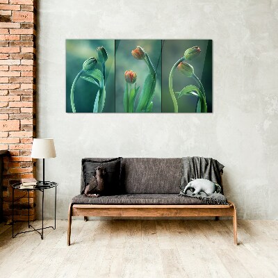 Tulips in shades of green Glass art print