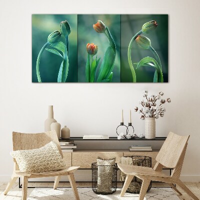 Tulips in shades of green Glass art print