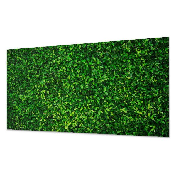 Square wall panel A dense wall of leaves